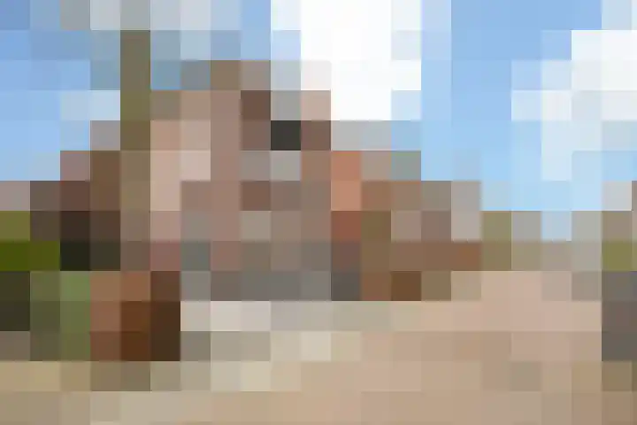 Anderstein 9 Vleuten thumbnail 49