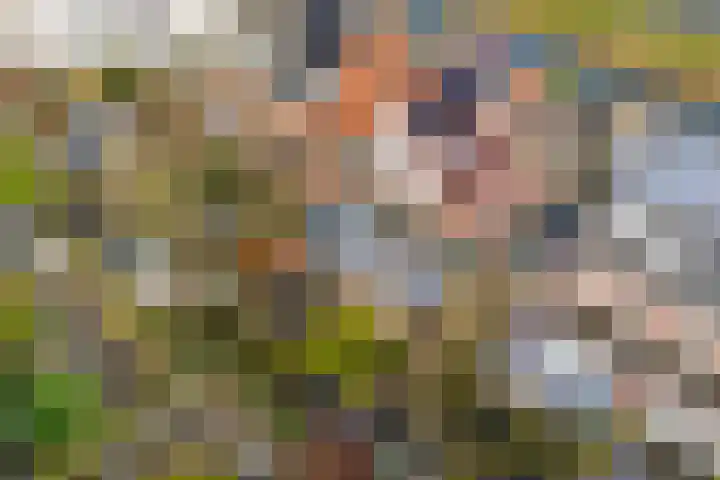 Anderstein 9 Vleuten thumbnail 50