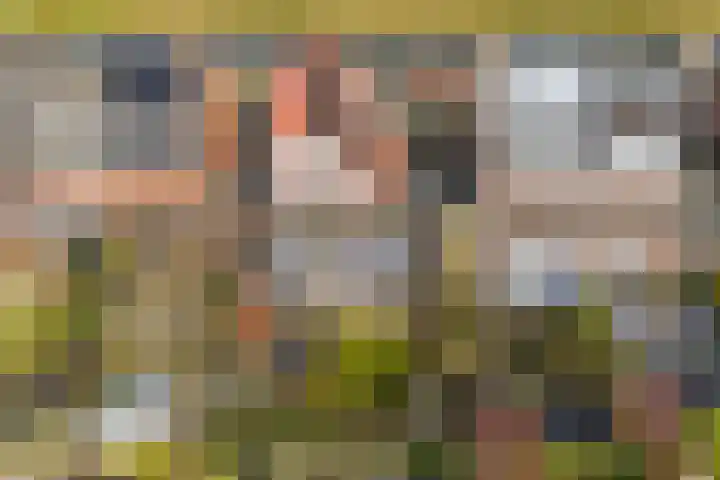 Anderstein 9 Vleuten thumbnail 51