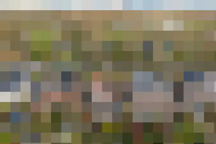 Anderstein 9 Vleuten thumbnail 52