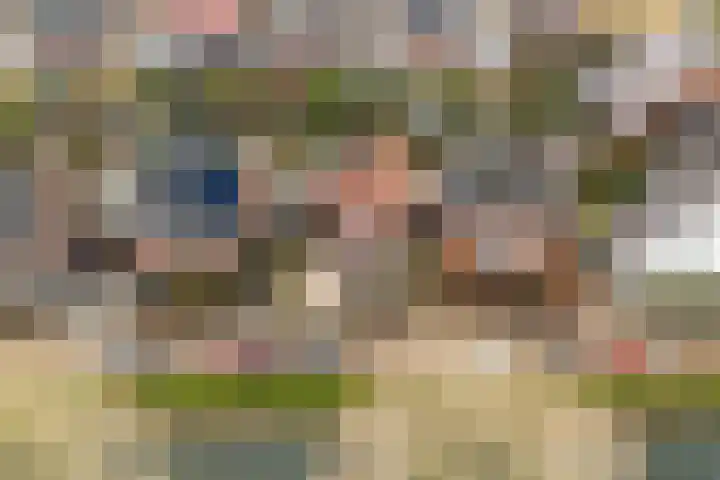 Anderstein 9 Vleuten thumbnail 6