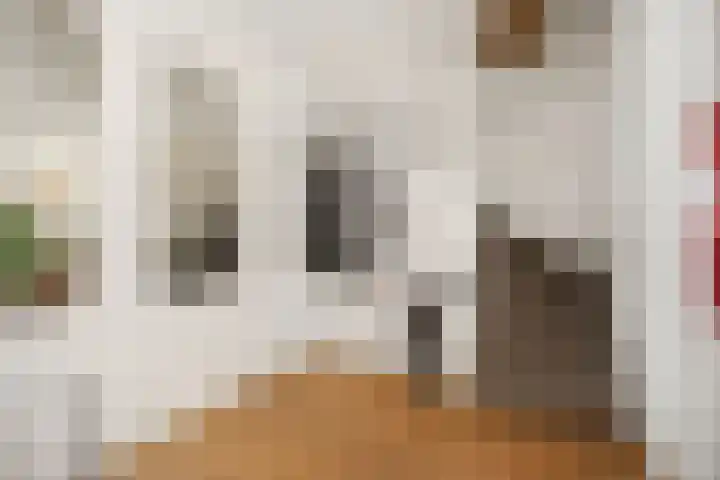 Anderstein 9 Vleuten thumbnail 7