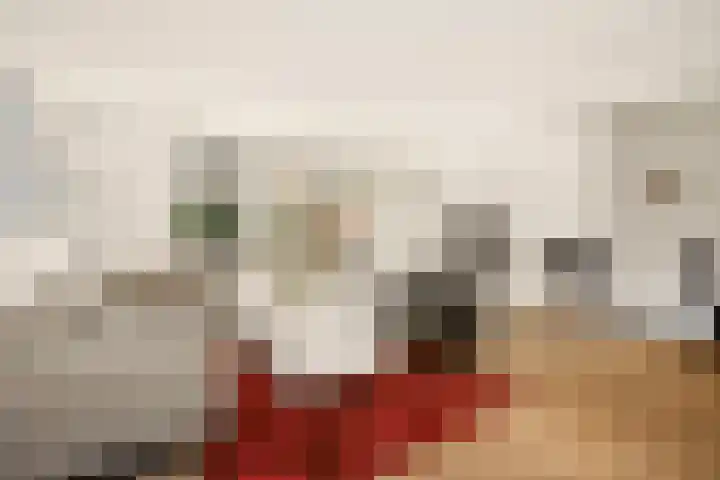 Anderstein 9 Vleuten thumbnail 8