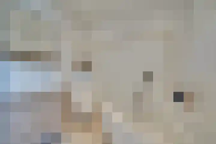 Andesdreef 23 Utrecht thumbnail 28