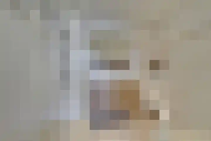 Andesdreef 23 Utrecht thumbnail 30