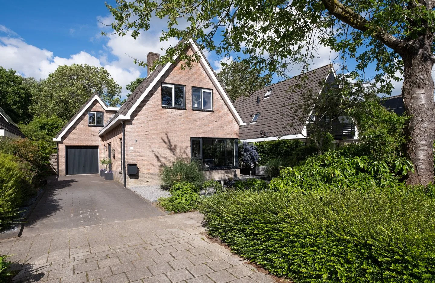 Andeskondor 10 Heerhugowaard