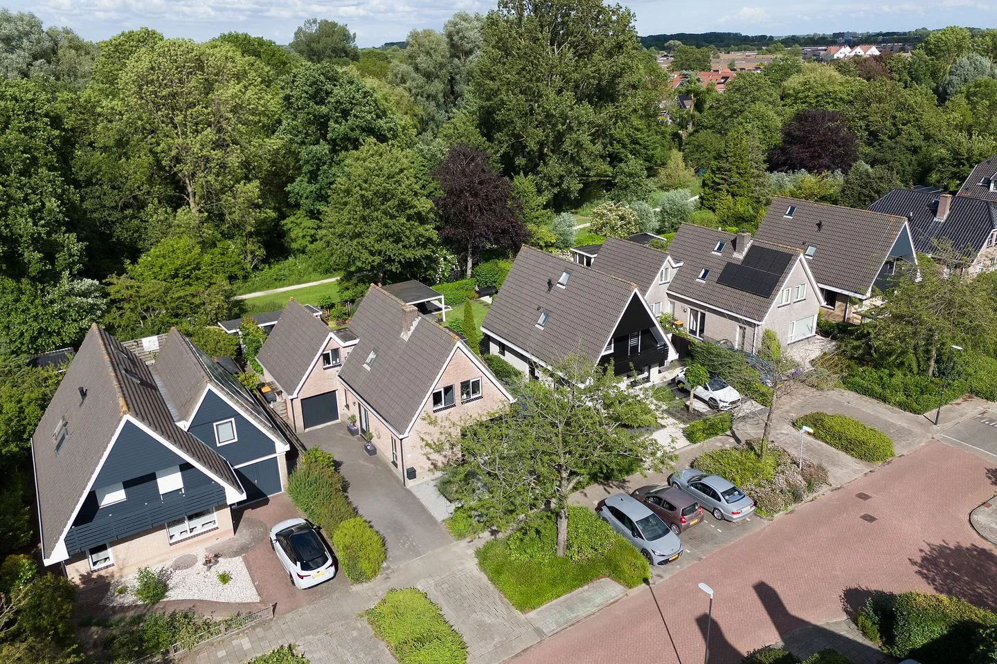Andeskondor 10 Heerhugowaard thumbnail 5