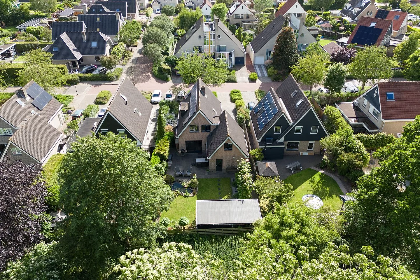 Andeskondor 10 Heerhugowaard thumbnail 6