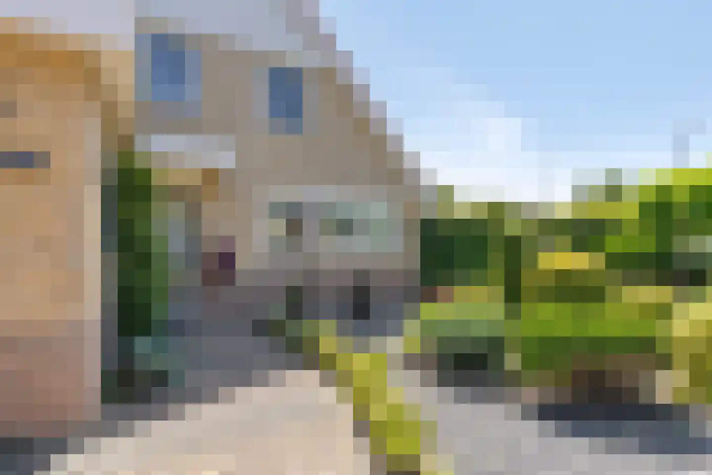 Andeskondor 11 Heerhugowaard thumbnail 12