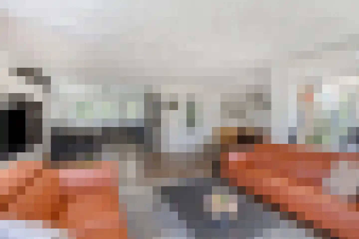 Andeskondor 11 Heerhugowaard thumbnail 20
