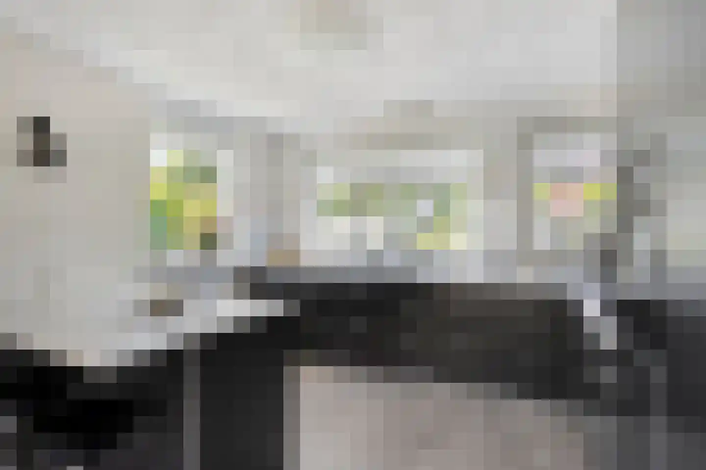 Andeskondor 11 Heerhugowaard thumbnail 22