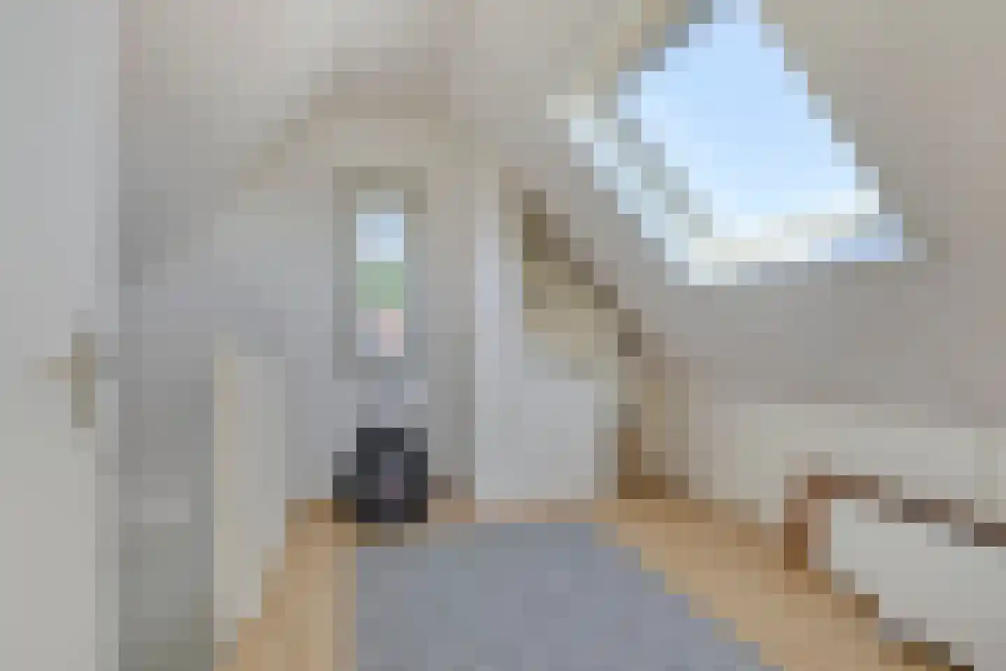 Andeskondor 11 Heerhugowaard thumbnail 39