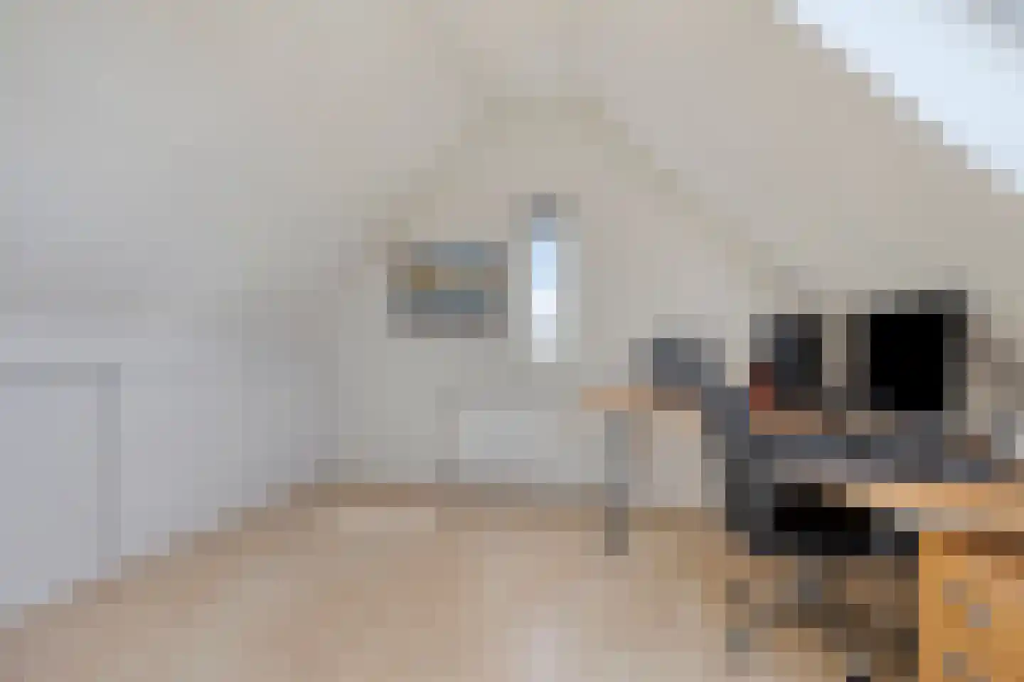 Andeskondor 11 Heerhugowaard thumbnail 40