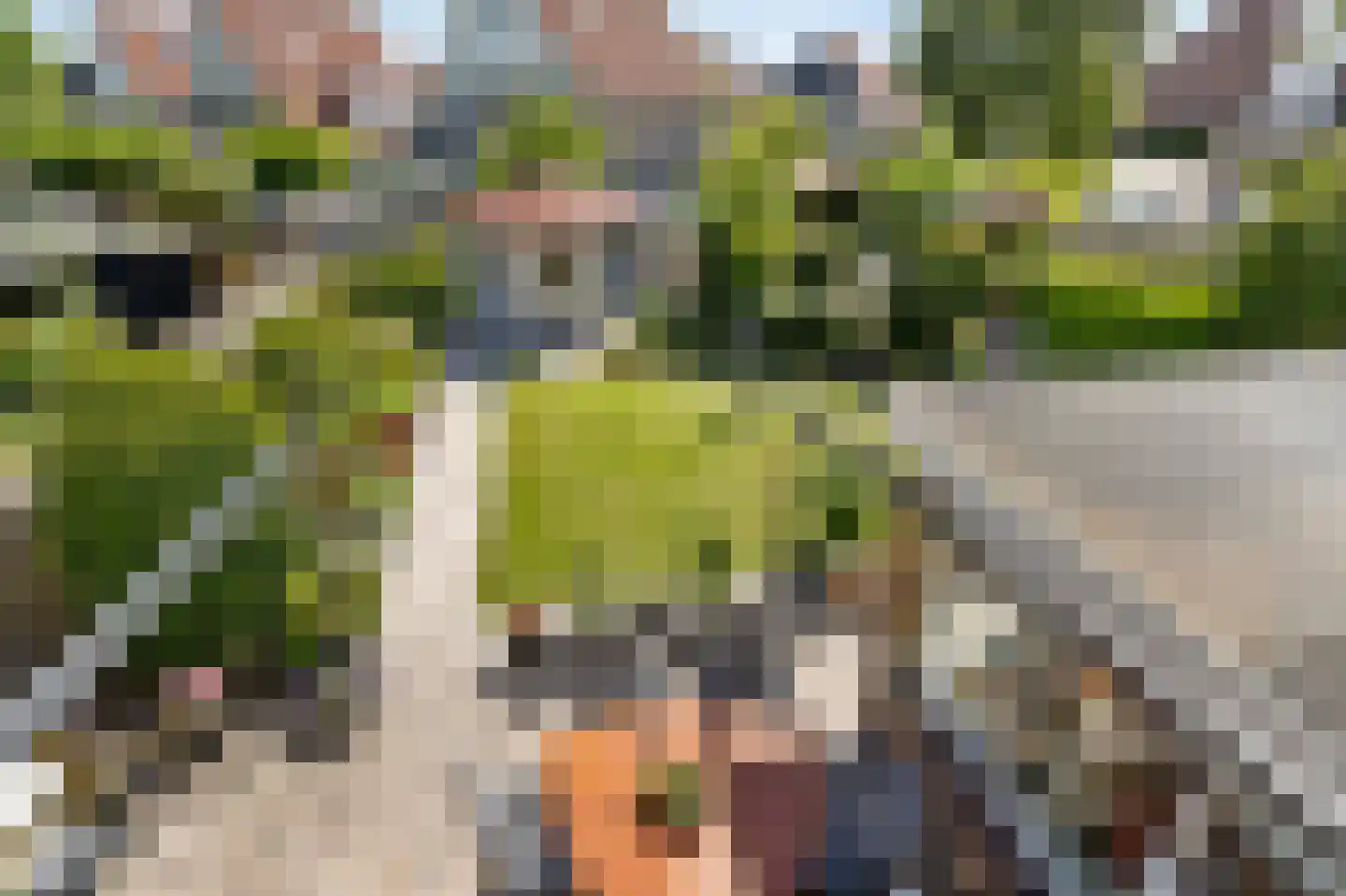 Andeskondor 11 Heerhugowaard thumbnail 42