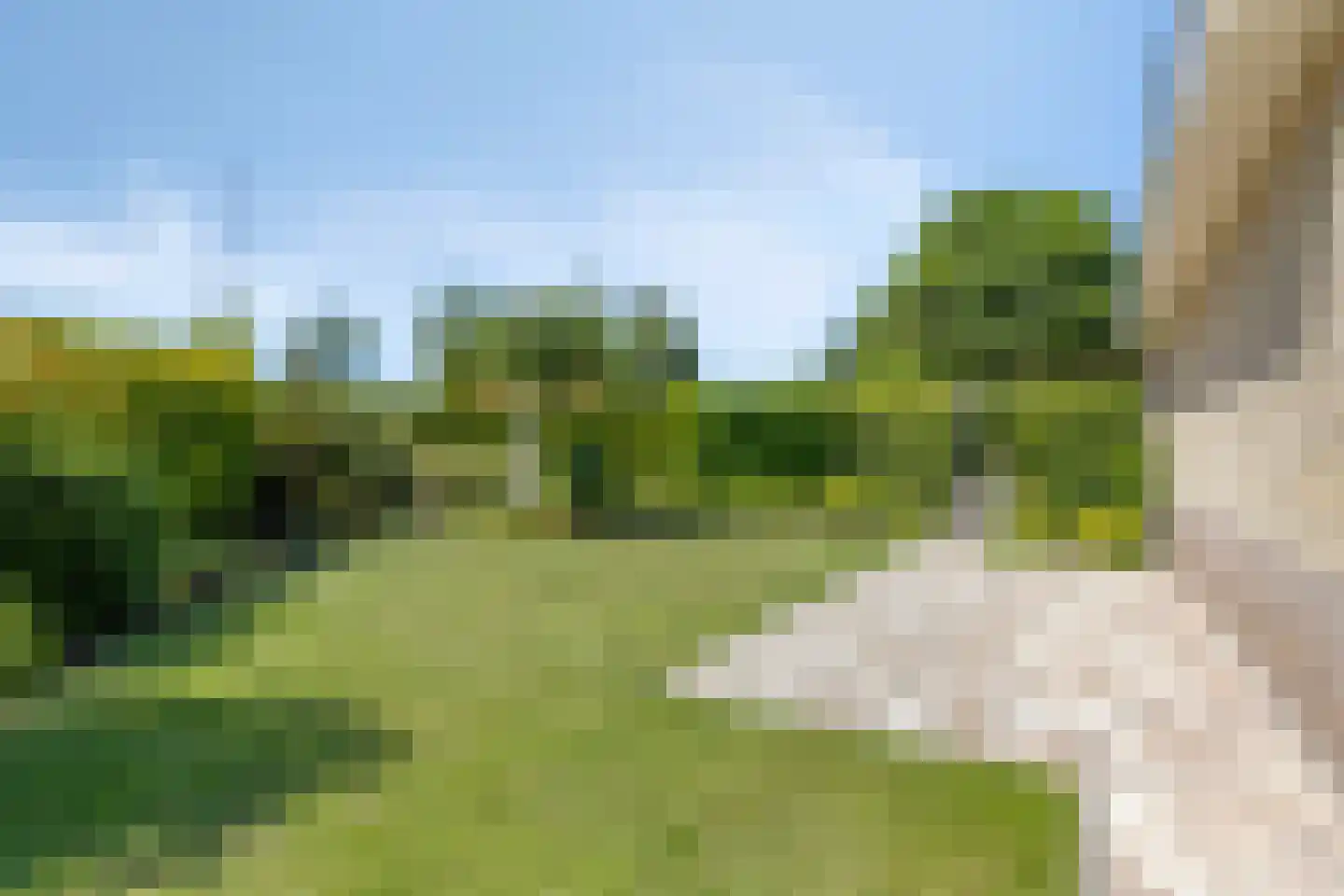 Andeskondor 11 Heerhugowaard thumbnail 51