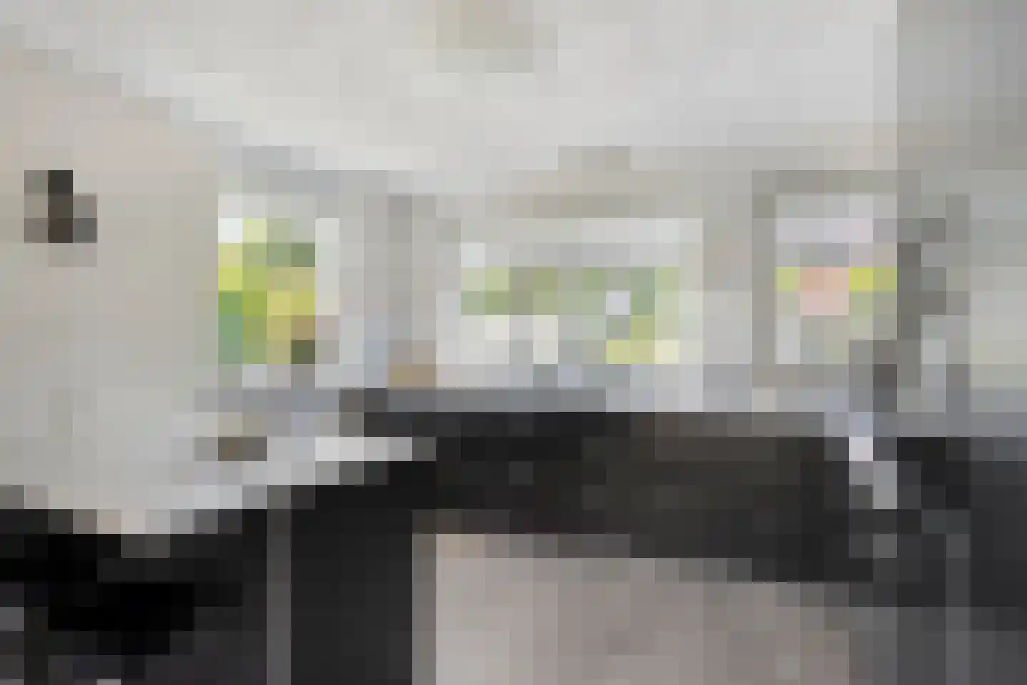 Andeskondor 11 Heerhugowaard thumbnail 6
