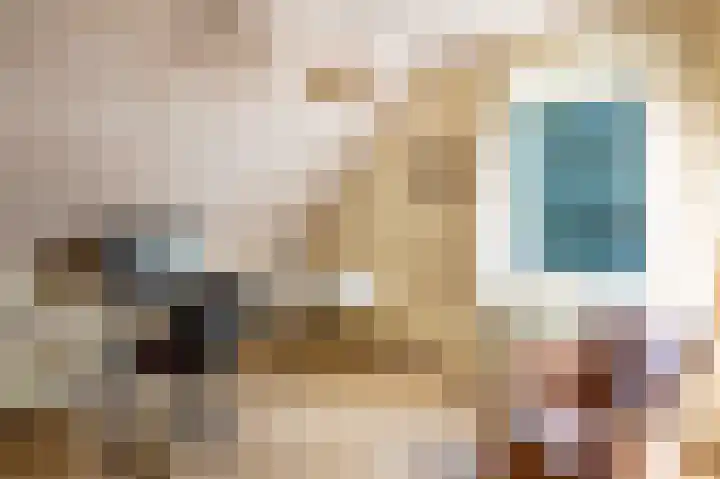 Andeslaan 16 Venray thumbnail 33