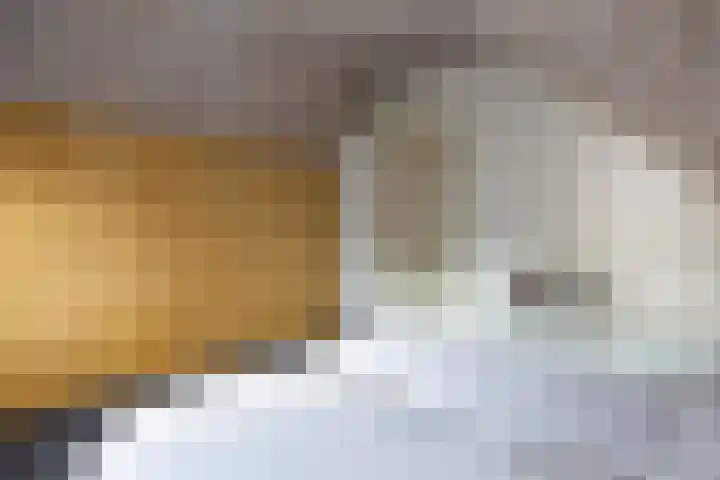 Andeslaan 16 Venray thumbnail 36