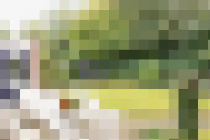 Andeslaan 16 Venray thumbnail 43