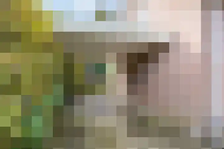 Andeslaan 16 Venray thumbnail 46