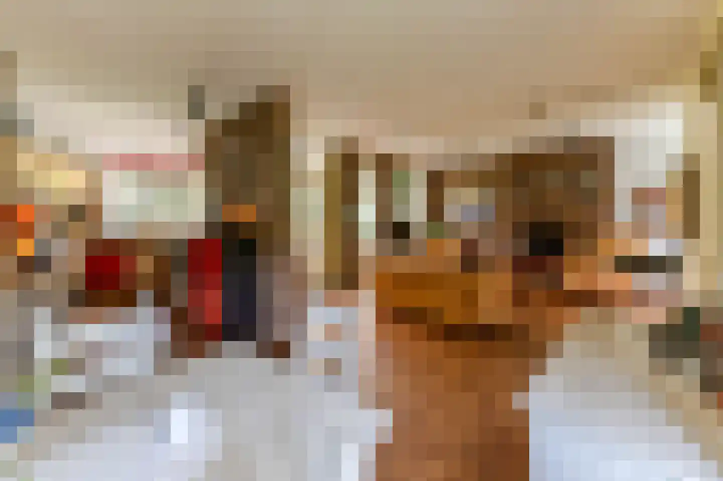 Andeslaan 26 Venray thumbnail 12