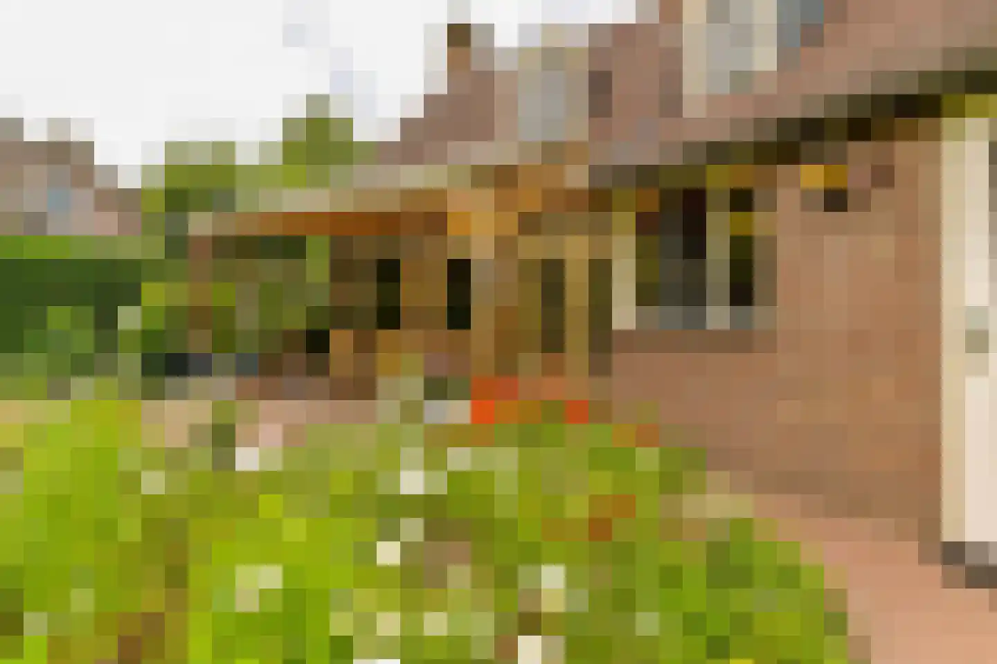 Andeslaan 26 Venray thumbnail 14