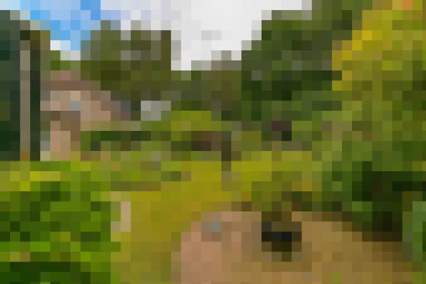 Andeslaan 26 Venray thumbnail 15