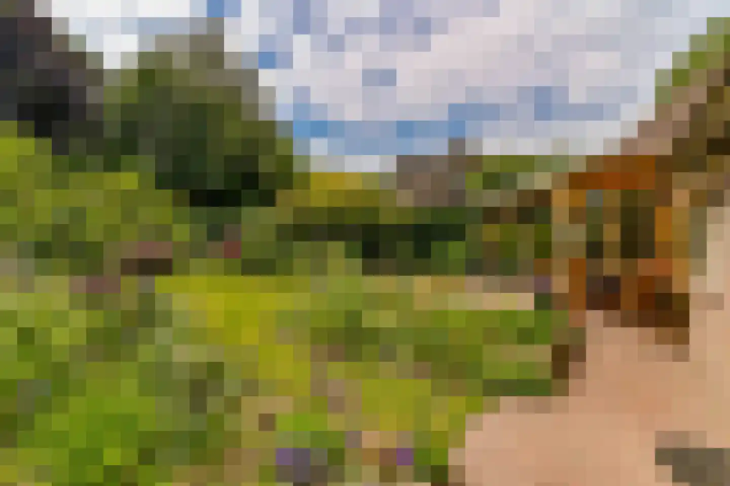 Andeslaan 26 Venray thumbnail 17