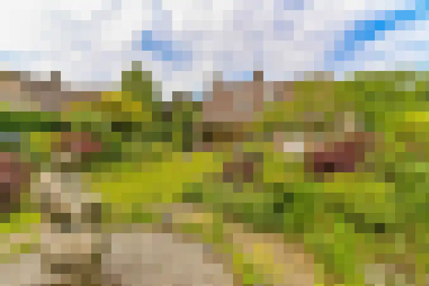 Andeslaan 26 Venray thumbnail 18