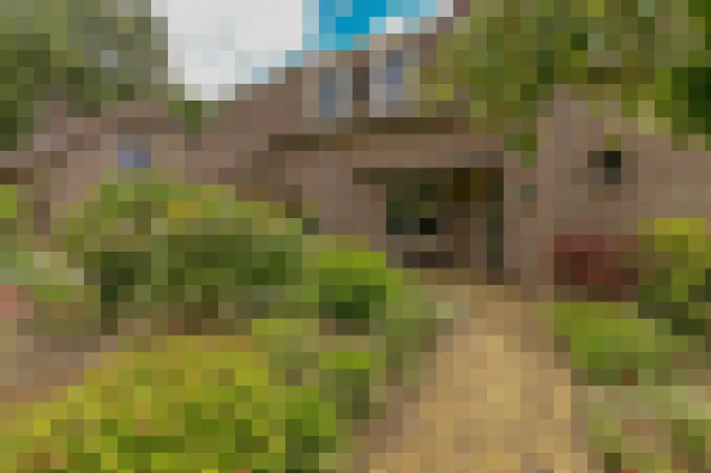 Andeslaan 26 Venray thumbnail 4