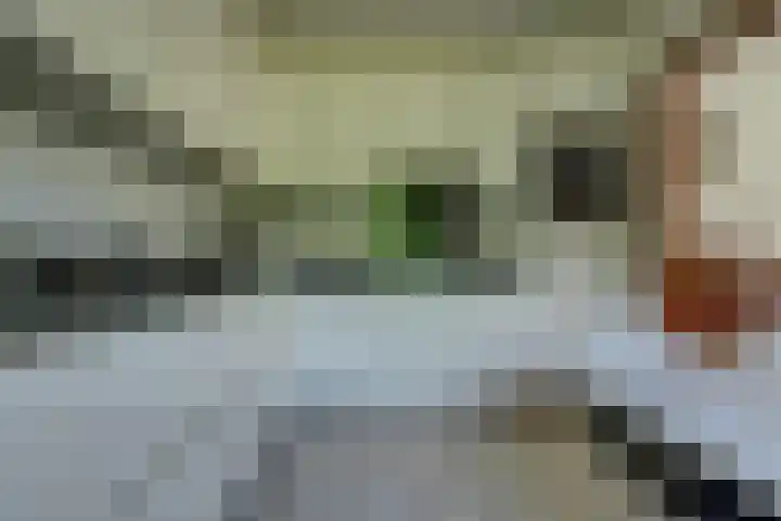 Andeslaan 7 Venray thumbnail 17