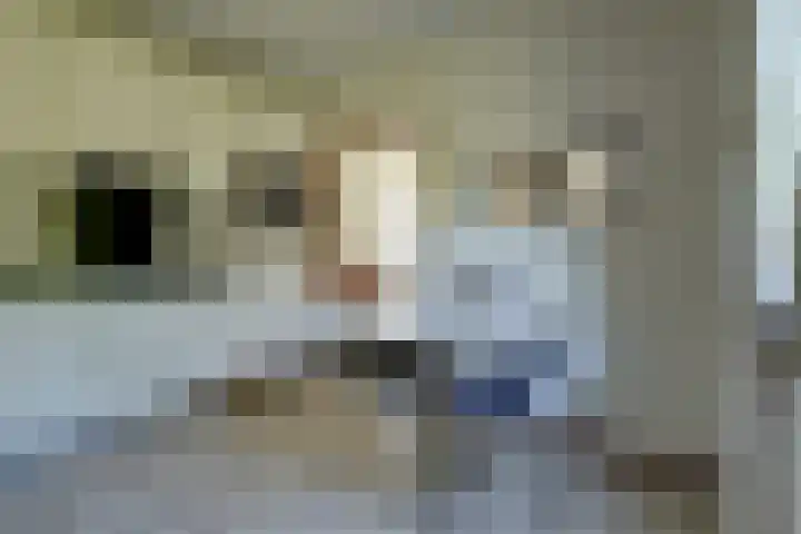 Andeslaan 7 Venray thumbnail 19