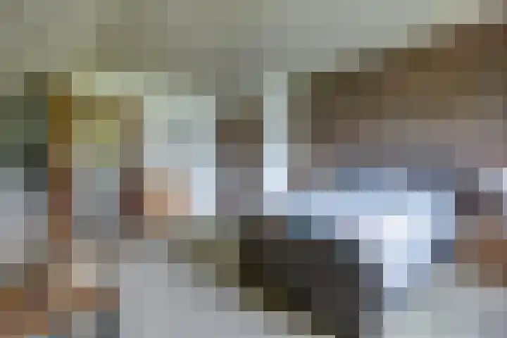 Andeslaan 7 Venray thumbnail 26