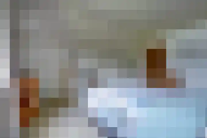 Andeslaan 7 Venray thumbnail 30