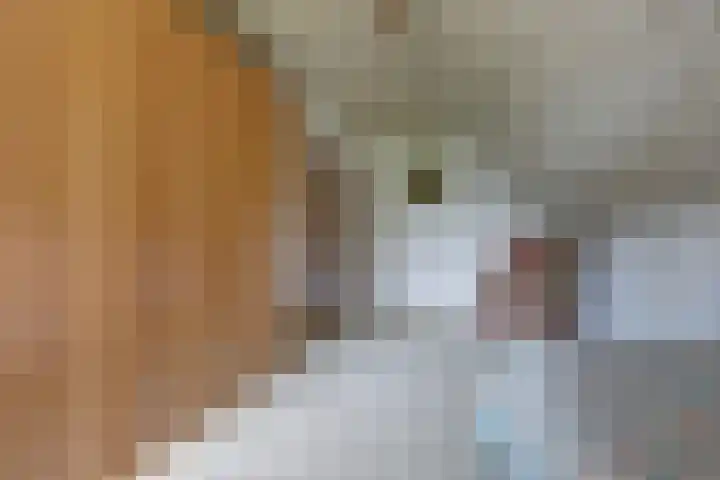 Andeslaan 7 Venray thumbnail 32