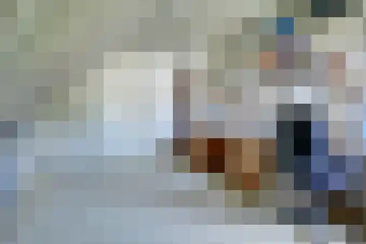 Andeslaan 7 Venray thumbnail 34