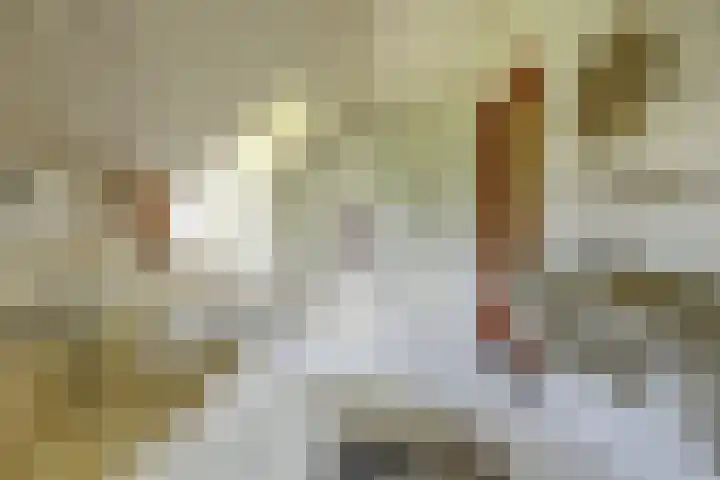 Andeslaan 7 Venray thumbnail 35
