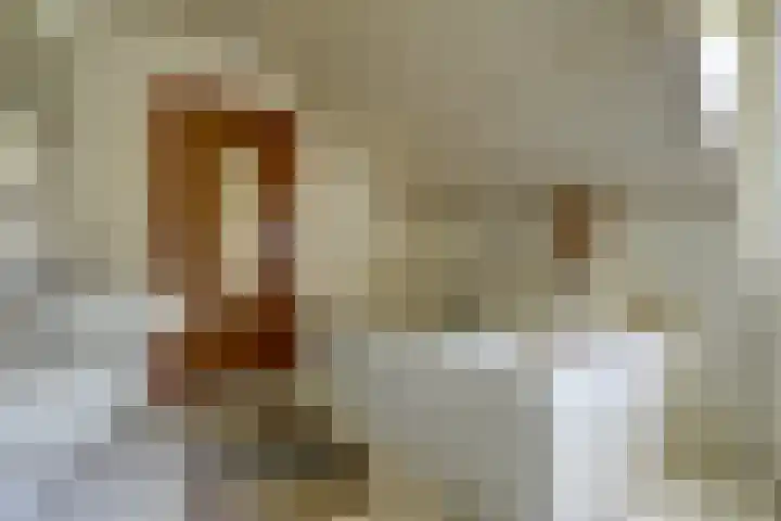 Andeslaan 7 Venray thumbnail 36