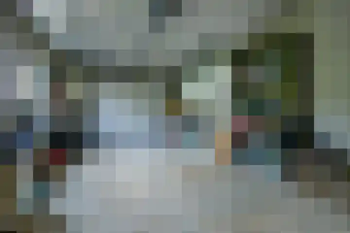 Andeslaan 7 Venray thumbnail 40
