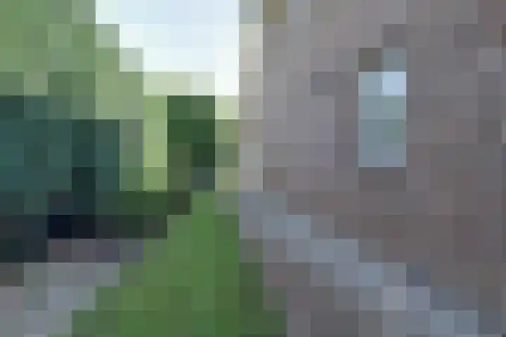 Andeslaan 7 Venray thumbnail 45