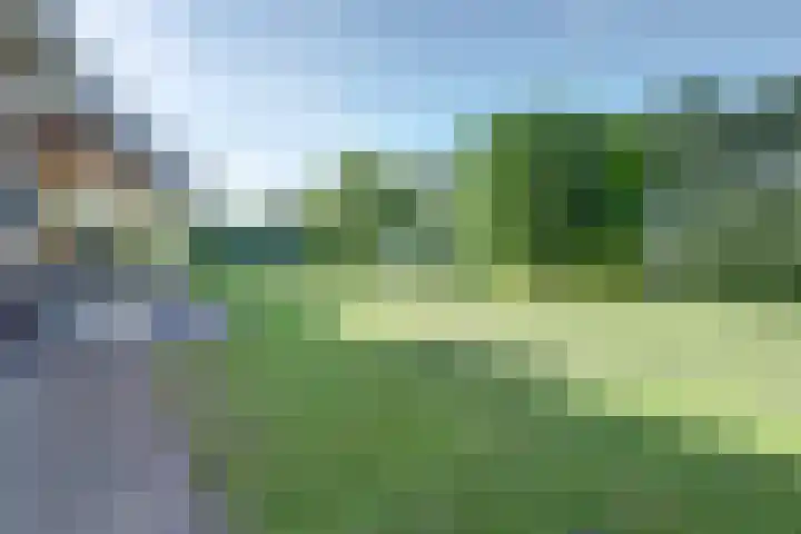 Andeslaan 7 Venray thumbnail 46
