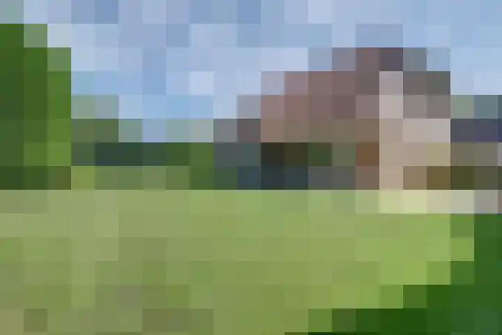 Andeslaan 7 Venray thumbnail 48