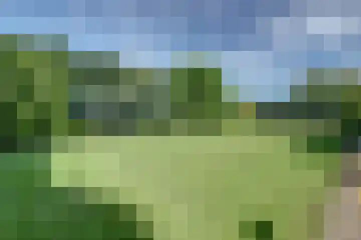 Andeslaan 7 Venray thumbnail 49