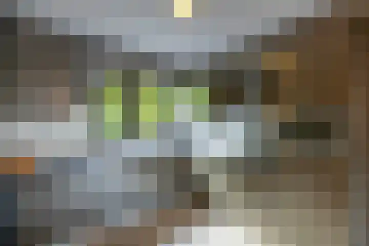 Andijkstraat 10 Emmeloord thumbnail 10