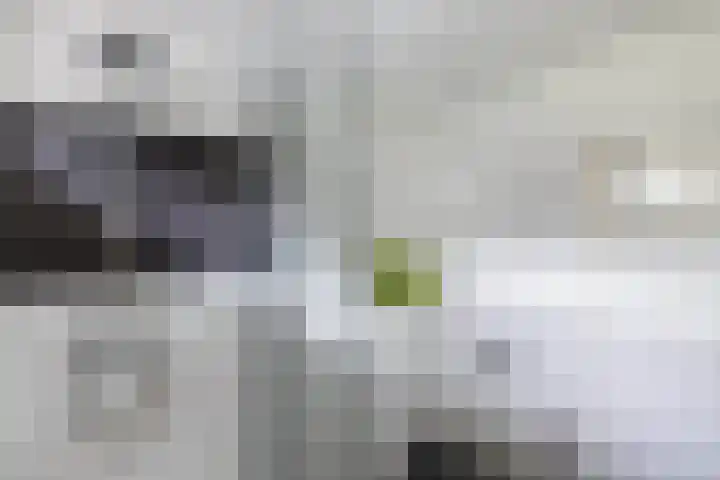 Andijkstraat 10 Emmeloord thumbnail 20
