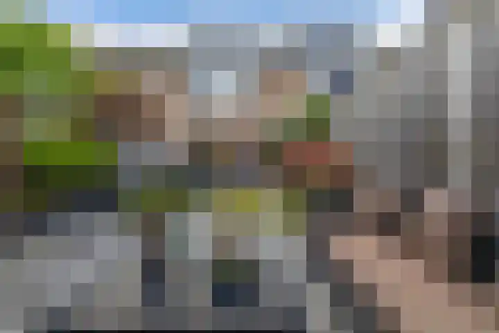 Andijkstraat 10 Emmeloord thumbnail 29