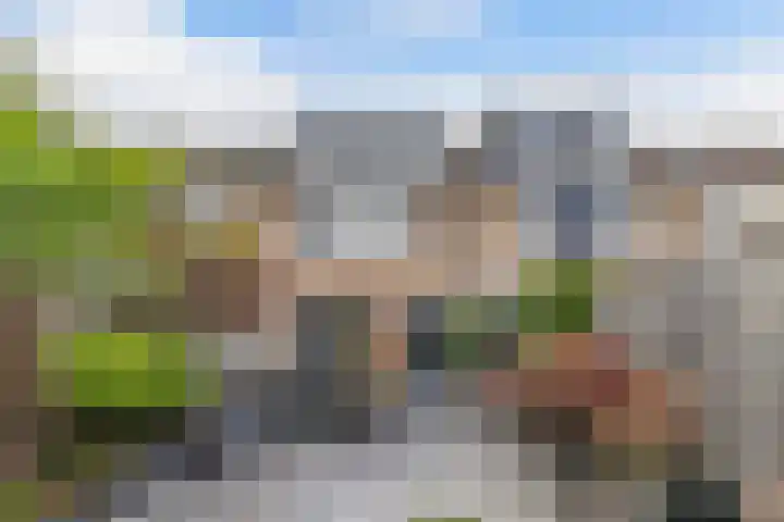 Andijkstraat 10 Emmeloord thumbnail 30