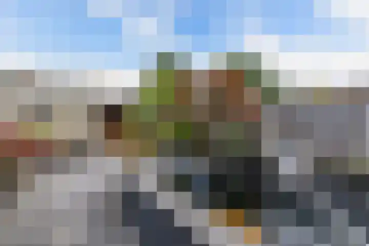 Andijkstraat 10 Emmeloord thumbnail 34