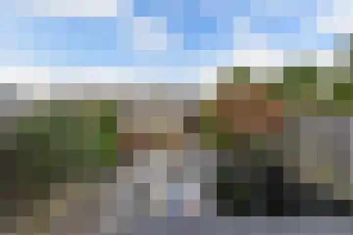 Andijkstraat 10 Emmeloord thumbnail 35