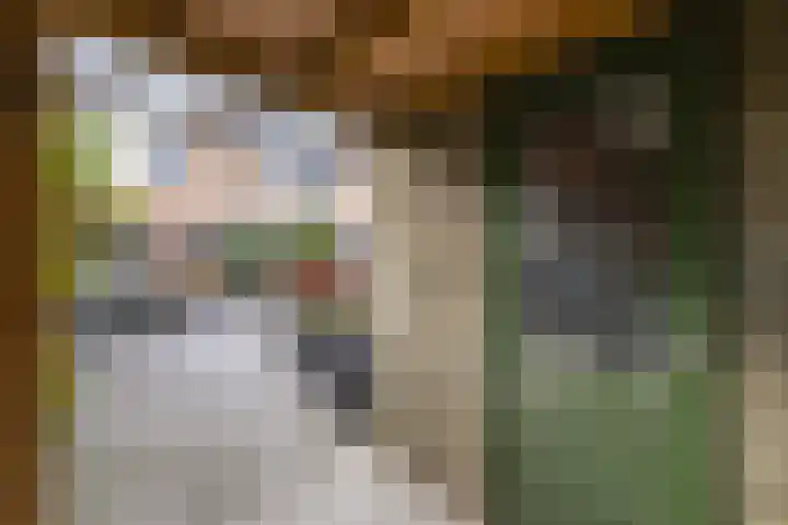 Andijkstraat 10 Emmeloord thumbnail 37